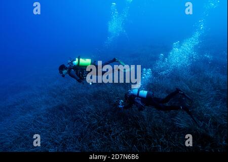 Scientists during healthcheck monitoring survey on neptune grass, Posidonia oceanica, beds Sarıgerme Turkey. Stock Photo