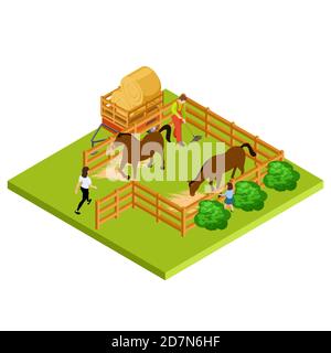 Horse farm 3d isometric vector location isolated. Farm with mare and stallion illustration Stock Vector