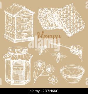 Hand sketched honey vector elements - bee, honeycombs, jars. Illustration of hand sketched honey and flower Stock Vector
