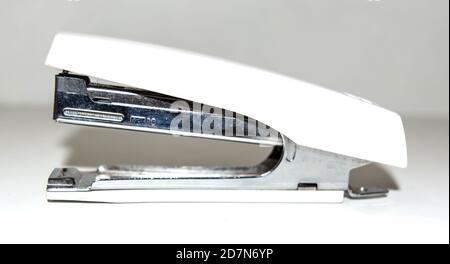 cream color stapler isolated on a white background. Stock Photo