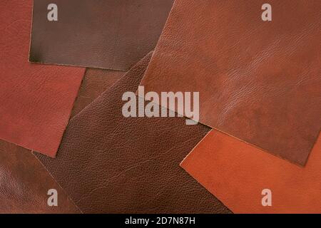 Various samples of genuine leather samples of different colors, brown shades for choice. Manufacturing concept Stock Photo