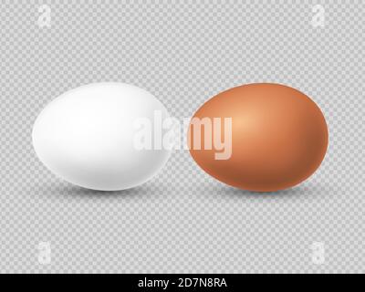 Realistic brown and white chicken eggs vector illustration. Chicken eggs for easter and eat Stock Vector