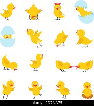 Cute chicks. Cartoon easter baby chickens with eggs. Funny yellow chick vector isolated characters. Illustration of chicken easter, little baby bird in eggshell Stock Vector