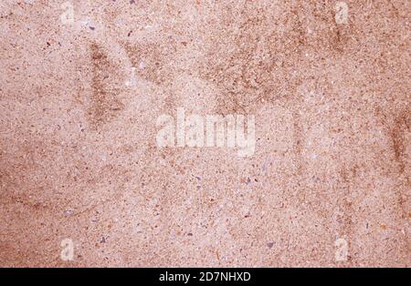 Front View of Pink Brown Colored Grunge Concrete Wall Stock Photo