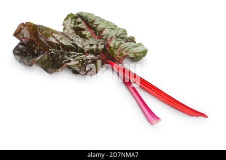 Studio shot of Swiss Chard leaves cut out against a white background - John Gollop Stock Photo