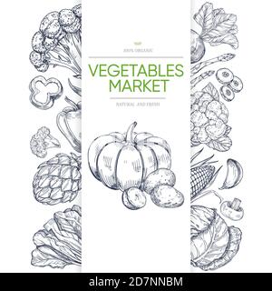 Vegetable markets banner template with hand drawn green. Illustration of vegetarian healthy vegetable, pumpkin and brocoli, corn and pepper Stock Vector