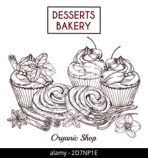 Sketch of buns and cakes and spices, desserts bakery vector background. Illustration of food delicious, confectionery drawn Stock Vector