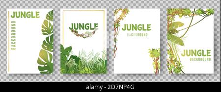 Green tropical frames template. Jungle plants vector cards. Jungle background frame, green tropical plant illustration Stock Vector