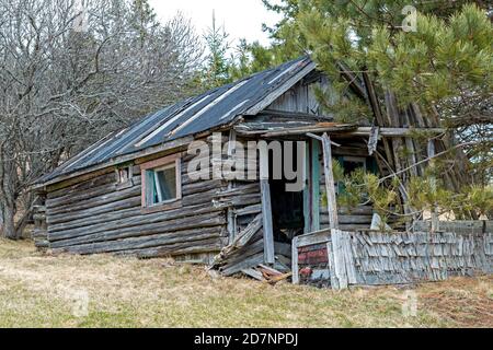 A small abandoned cottage, made from weathered logs. The porch is collapsing, the sides are breaking, and the rook is in very poor condition. Trees an Stock Photo