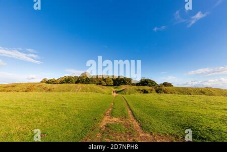 The defensive ramparts and ditches of Badbury Rings Iron Age Hill Fort in Dorset, England Stock Photo