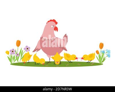 Cartoon character hen and little chickens in the meadow vector isolated on white background. Chicken bird with family illustration Stock Vector