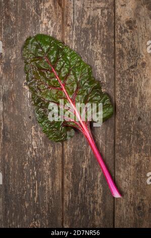 Studio shot of Swiss Chard leaves on a wooden background - John Gollop Stock Photo