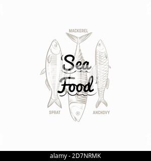 Fish products sign with hand drawn fish mackerel, sprat, anchovy vector design. Illustration of mackerel, sprat and anchovy Stock Vector