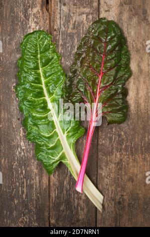 Studio shot of Swiss Chard leaves on a wooden background - John Gollop Stock Photo
