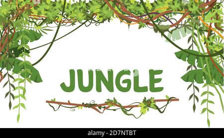 Jungle exotic leaves and lianes vector background. Tropical nature tree forest, jungle plant summer with place for text illustration Stock Vector