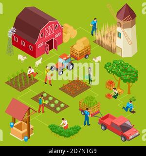 Fruits and vegetables farm, isometric gardening vector concept. Illustration of barn and mill, hay and tractor, agriculture gardening Stock Vector