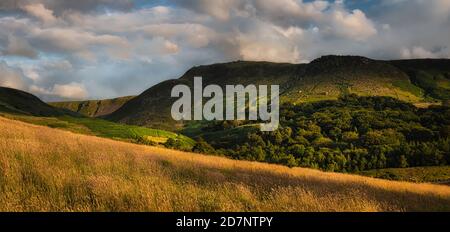 Pennine hills and trees at Dovestone, Saddleworth, Greater manchester, with golden grasses, clouds and blue sky, on a July evening Stock Photo