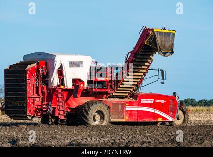 Self-propelled Grimme potato harvester during potato harvesting, Luffness Mains farm, East Lothian, Scotland, UK Stock Photo