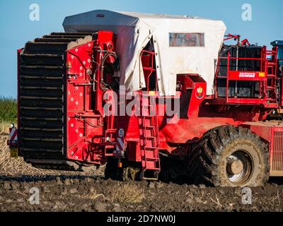 Self-propelled Grimme potato harvester during potato harvesting, Luffness Mains farm, East Lothian, Scotland, UK Stock Photo