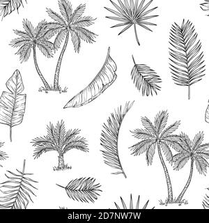 Palm tree seamless background. Tropical coconut palm, exotic island. Vintage hand drawing abstract floral summer vector print pattern. Pattern seamless tree palm leaf background illustration graphic Stock Vector