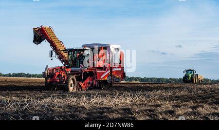 Self-propelled Grimme potato harvester during potato harvesting, Luffness Mains farm, East Lothian, Scotland, UK Stock Photo