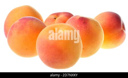 Peaches close up isolated on a white background. Stock Photo