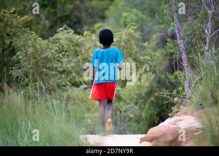 One boy in a blue shirt and red shorts walks through the rainforest Stock Photo