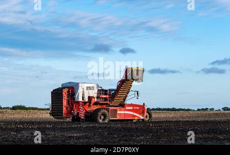 Self-propelled Grimme potato harvester during potato harvesting, Luffness Mains farm, East Lothian, Scotland, UK Stock Photo