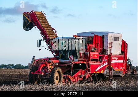 Self-propelled Grimme potato harvester during potato harvesting, Luffness Mains farm, East Lothian, Scotland, UK Stock Photo