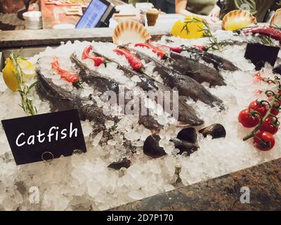 Beautifully laid decorated fresh catfish on ice stall in restaurant Stock Photo