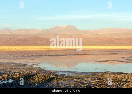 The wonderful colours of Chaxa lagoon in north of Chile Stock Photo