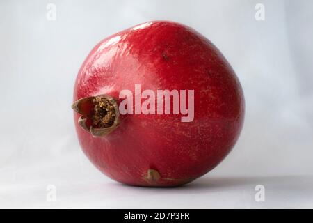 Bright red whole pomegranate fruit (Punica granatum) isolated on white Stock Photo