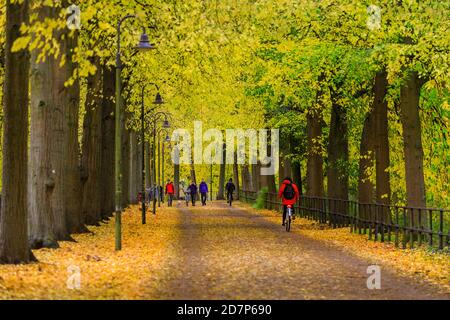 Muenster, NRW, Germany. 24th Oct, 2020. Sailboats make use of the autumnal breeze on the popular Aasee lake near the city centre. Autumn trees have turned into vibrant splashes of red, yellow and orange on an otherwise grey and cool day in the city. Credit: Imageplotter/Alamy Live News Stock Photo