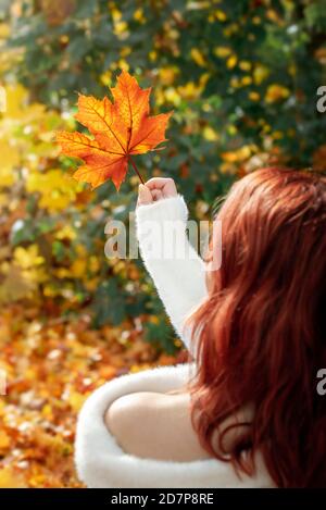 Redheaded young woman holding a red maple leaf, in an autumn scenery, on sunny day. Girl in white sweater relaxing outdoor in autumn forest, back view Stock Photo
