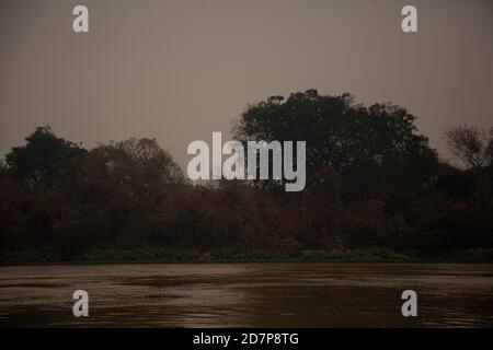 The great drought of Brazilian Pantanal 2020 Stock Photo