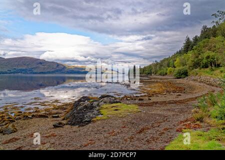 Relaxing picnic area at Loch Linnhe in the highlands on a autumn day - west coast Scotland - travel destination - Fort William, Highland Region, Scotl Stock Photo