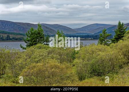Relaxing picnic area at Loch Linnhe in the highlands on a autumn day - west coast Scotland - travel destination - Fort William, Highland Region, Scotl Stock Photo