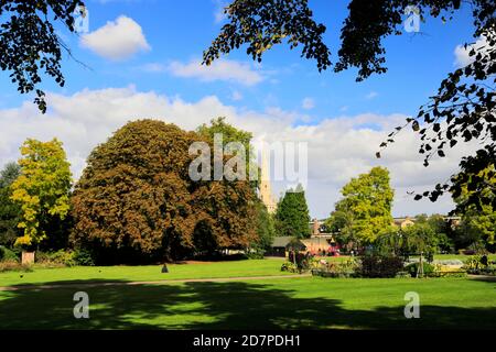 View over the parkland of Christs Pieces, Cambridge City, Cambridgeshire, England, UK Stock Photo