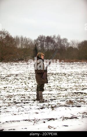 Shooting in the show on a driven game shoot in Lancashire, England Stock Photo