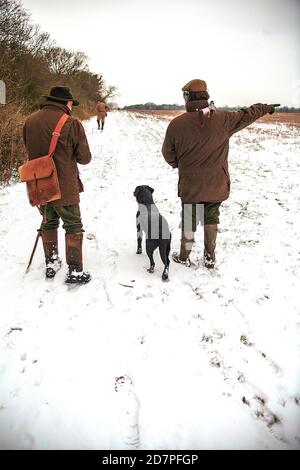 Shooting in the show on a driven game shoot in Lancashire, England Stock Photo