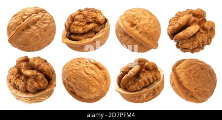 Walnuts isolated on white background with clipping path Stock Photo