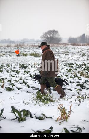 Shooting in the show on a driven game shoot in Lancashire, England Stock Photo