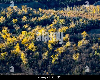 Fall colors along the little missouri river in the Badlands of Theodore Roosevelt National Park,  North Dakota, USA Stock Photo