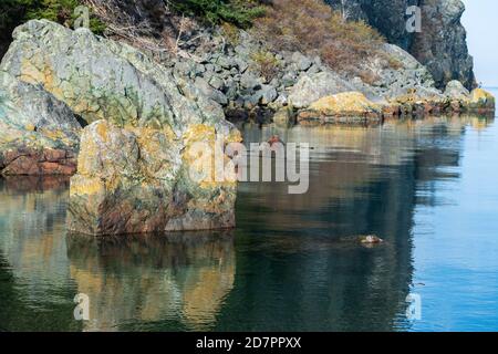 The lichen covered rocks in the water at Watmough Bay, Lopez Island, Washington, USA Stock Photo