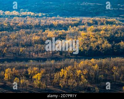 Fall colors along the little missouri river in the Badlands of Theodore Roosevelt National Park,  North Dakota, USA Stock Photo