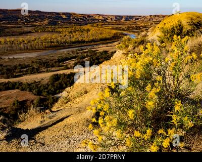 Fall colors along the little missouri river in the Badlands of Theodore Roosevelt National Park,  North Dakota, USA Stock Photo