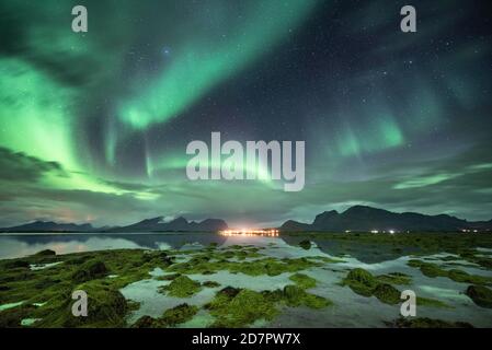 Sea bay (Aurora borealis) with sea grass, night view, starry sky, northern lights Northern Lights, , reflection in the sea Stock Photo