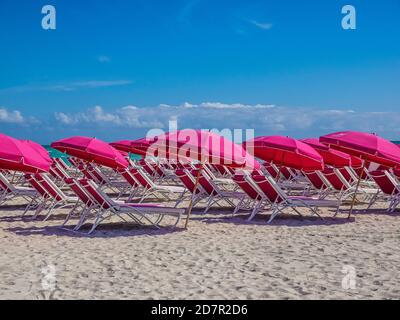 Multiple magenta beach umbrellas and chaise lounges await customers on Miami Beach. Stock Photo