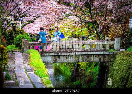 Kyoto, Japan - April 10, 2019: Cherry blossom sakura flowers in spring in famous Philosopher's walk garden park by river and people on stone bridge Stock Photo