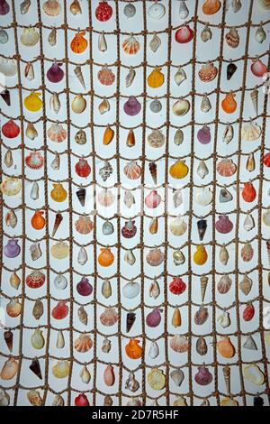 Shell Art Rarotonga Shell artwork, Rarotonga, Cook Islands, South Pacific Stock Photo - Alamy